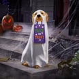 Shop the Life-Size Golden Retriever Ghosts TikTokers Are Painting For Halloween